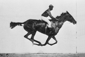 O Cavalo em Movimento, de Eadweard Muybridge (1878), animado